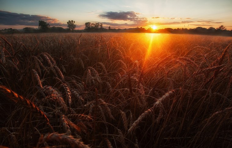 Август природа