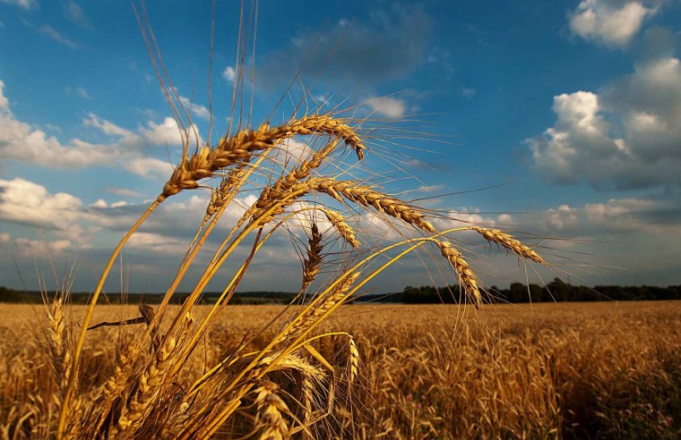 Август картинки