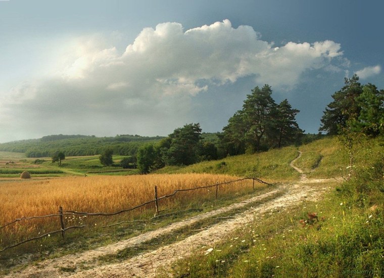 Август природа