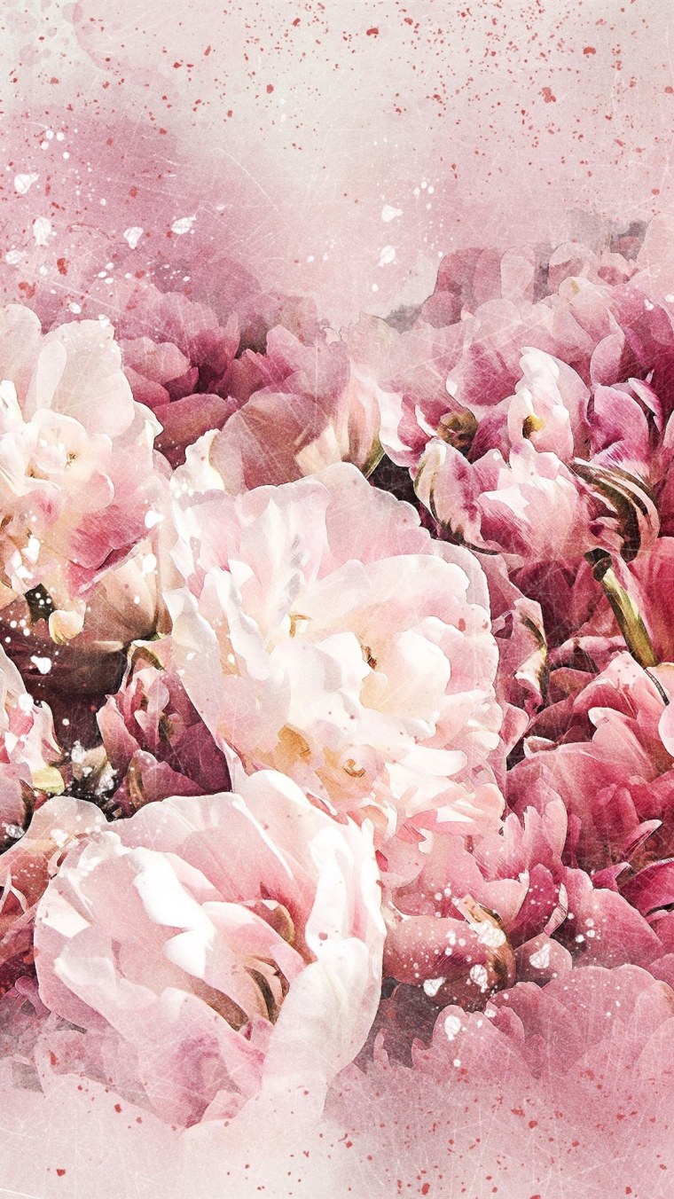 Лепестки пионов