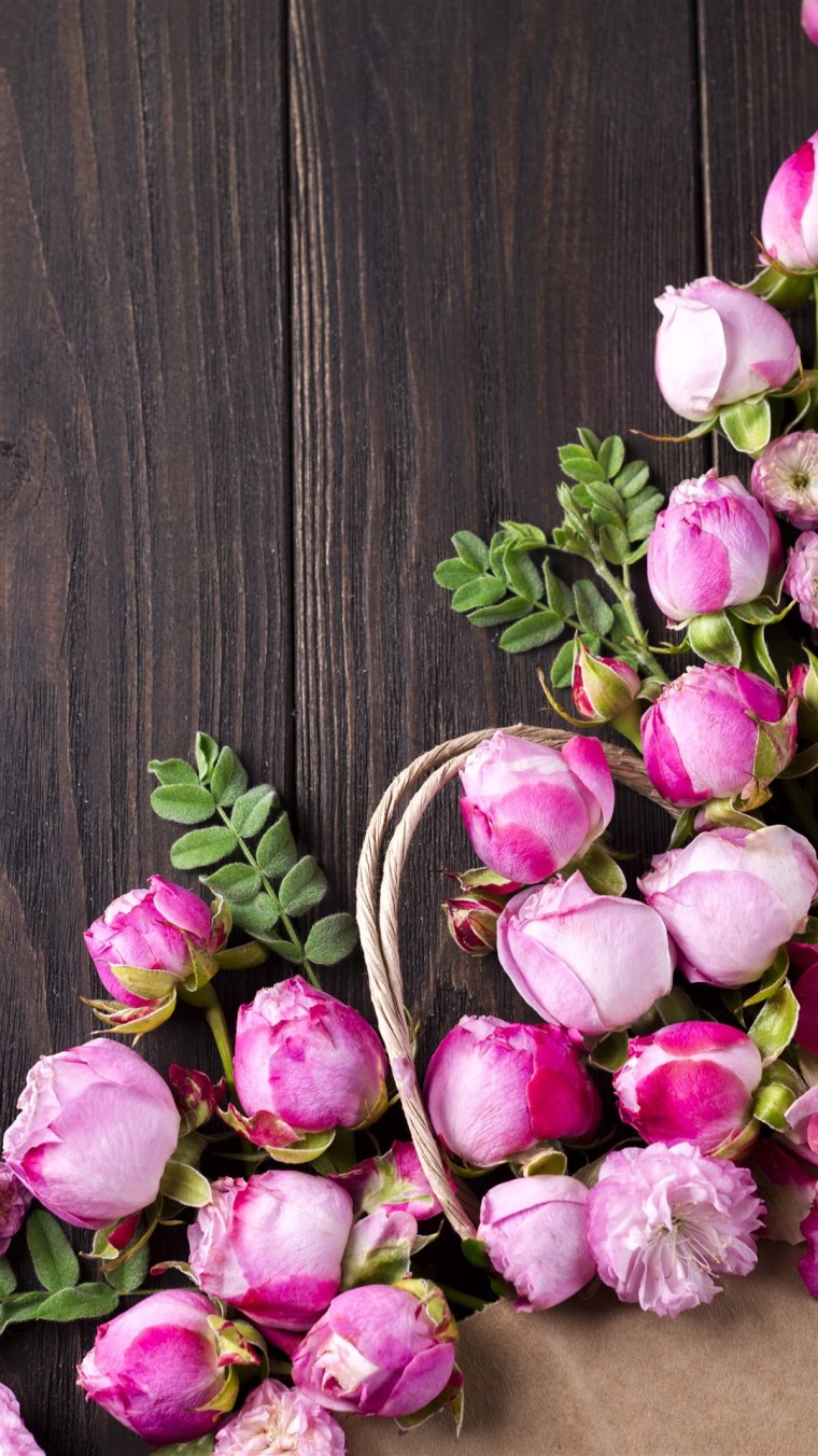 Пионы на темном фоне