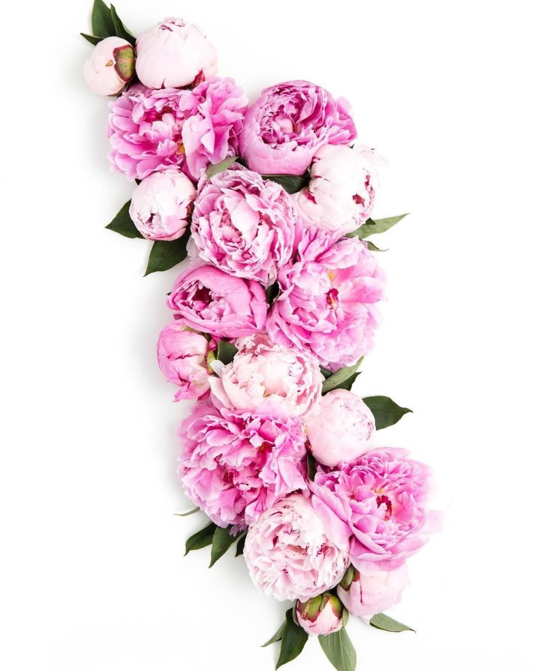 Розы на айфон