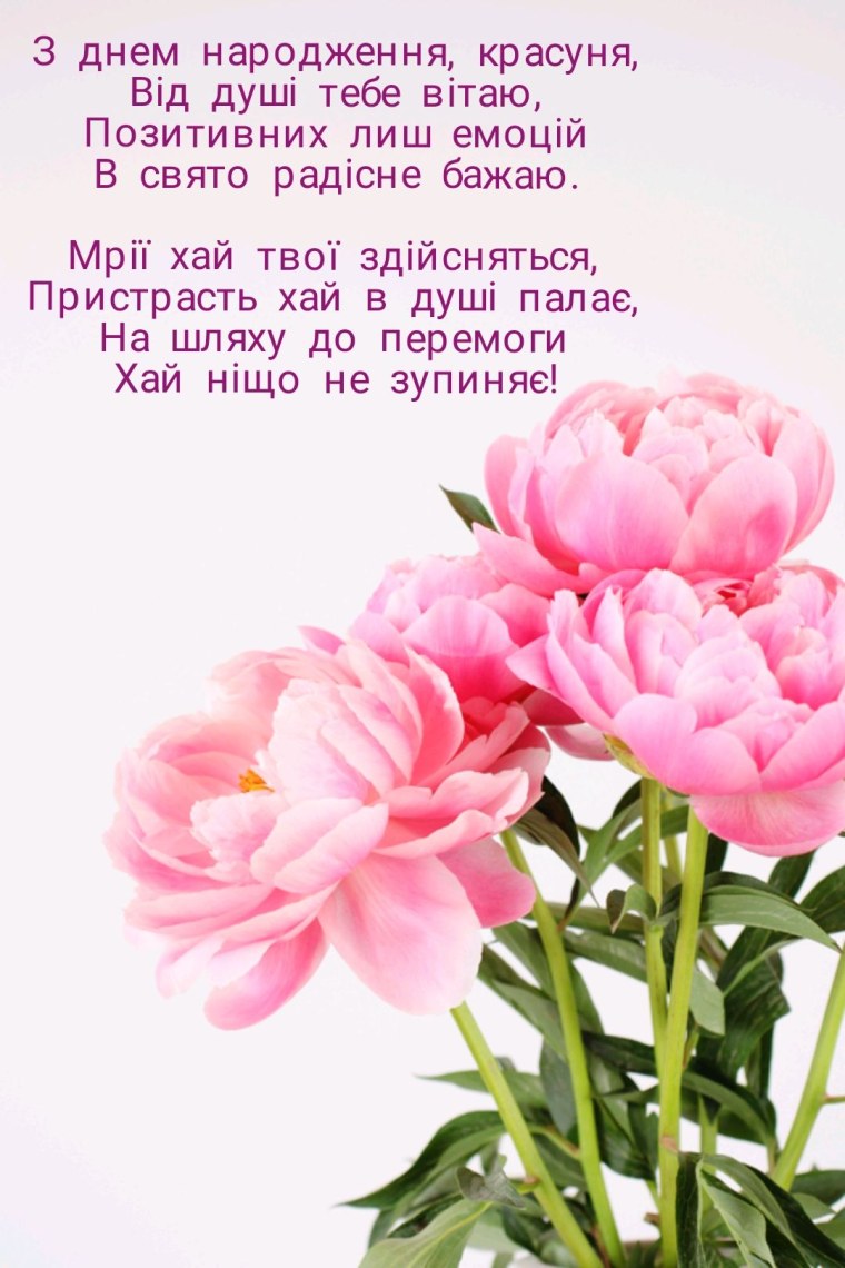 Пион нежно-розовый