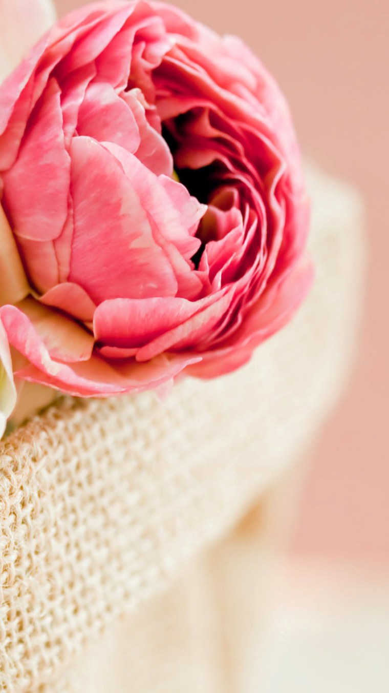 Листья пиона