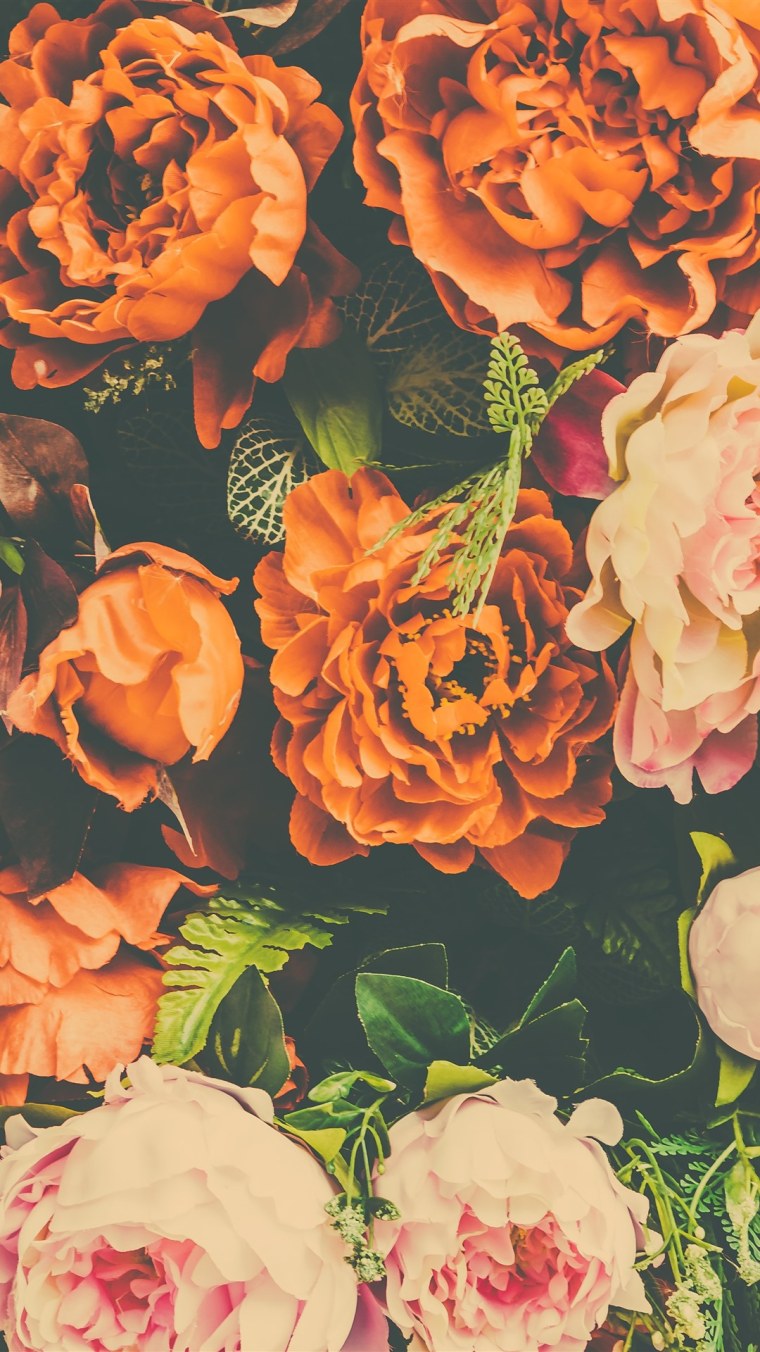 Черные пионы