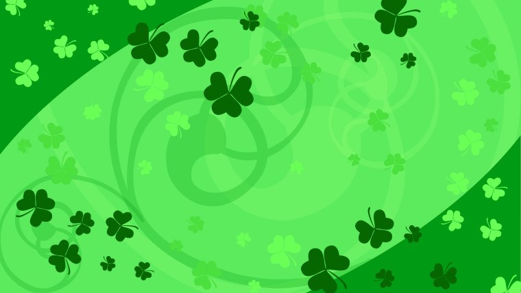 Клевер трилистник растение