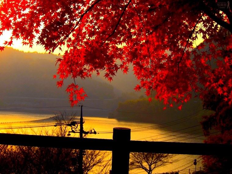 Осенний фон на рабочий стол