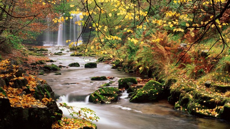 Обои на рабочий стол осень