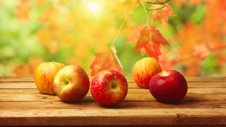 Яркая природа