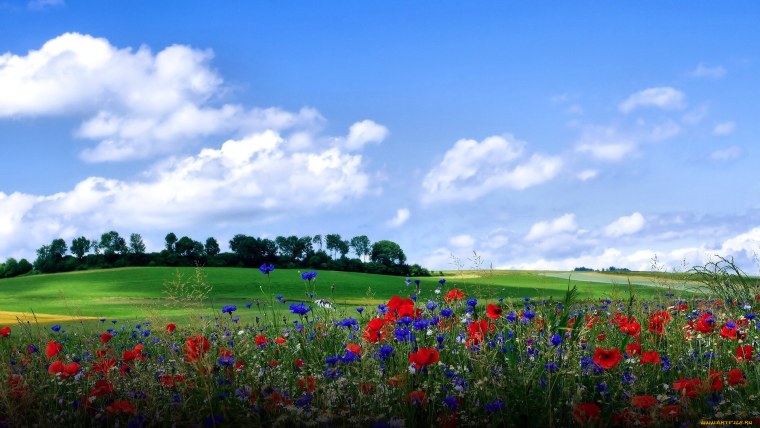 Обои на рабочий СТОД лето