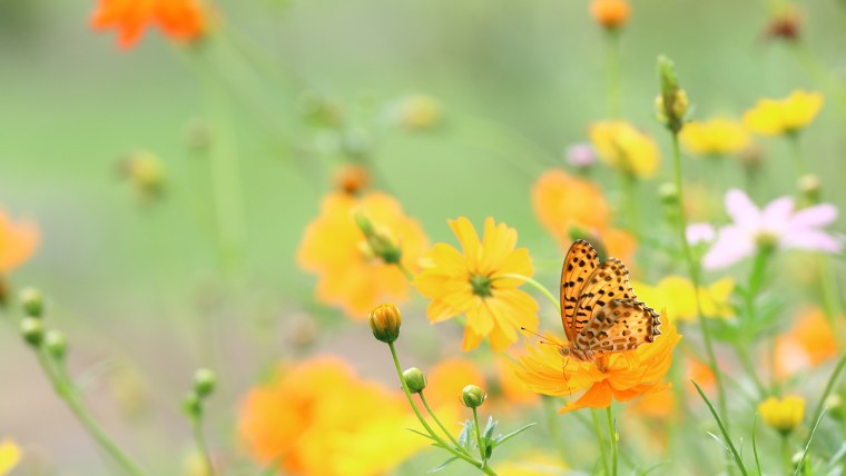 Море пляж коктейль