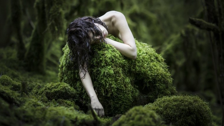 Эстетика разрешение 5000 мох