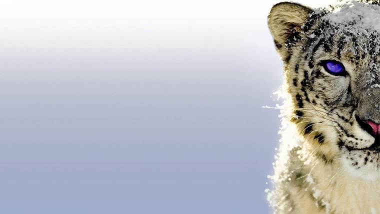 Барт симпсон крутой