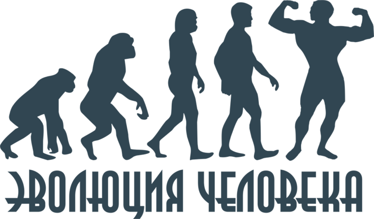 Эволюция Дарвин хомо