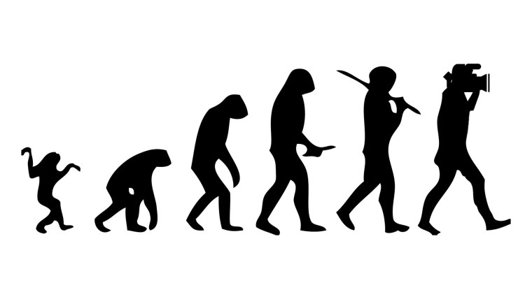 Этапы эволюции человека,хомо сапиенс