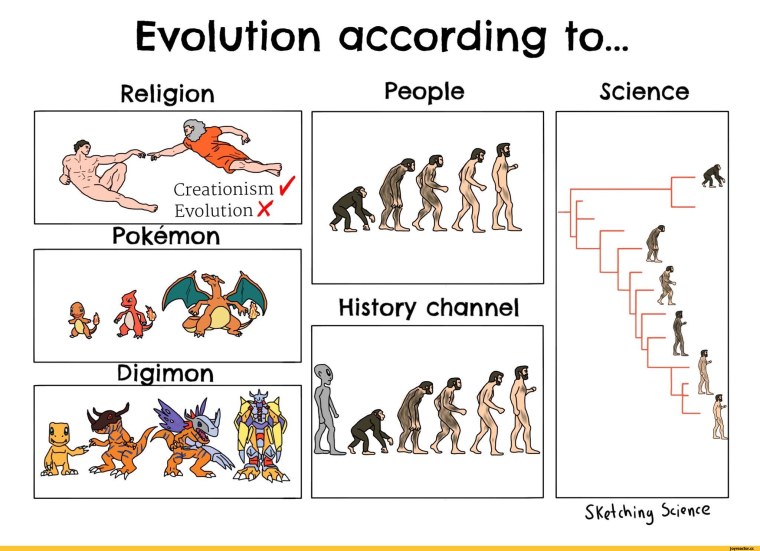 Эволюция человека