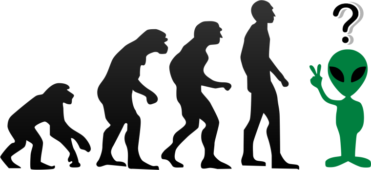 Эволюция человеческого сообщества