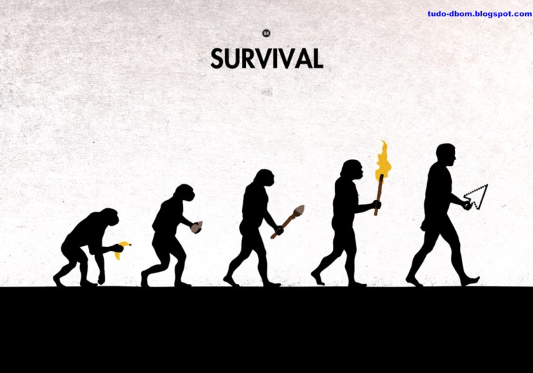 Хомо сапиенс обезьяна