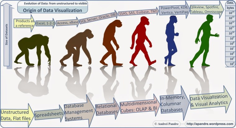 Хомо сапиенс хомо Эректус хомо хабилис