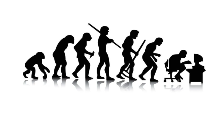 Эволюция человечества Эстетика