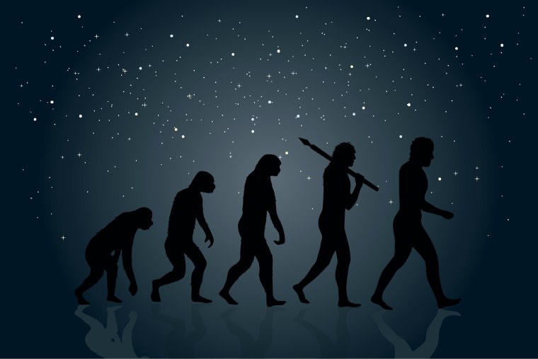 Эволюция на рабочий стол