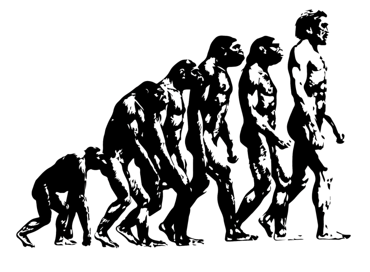 Эволюция человека карикатура