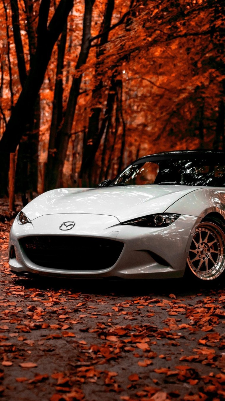 Ламборджини 2029