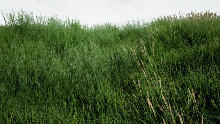 Трава Unreal engine 4