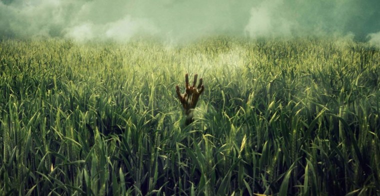 Райграс пастбищный