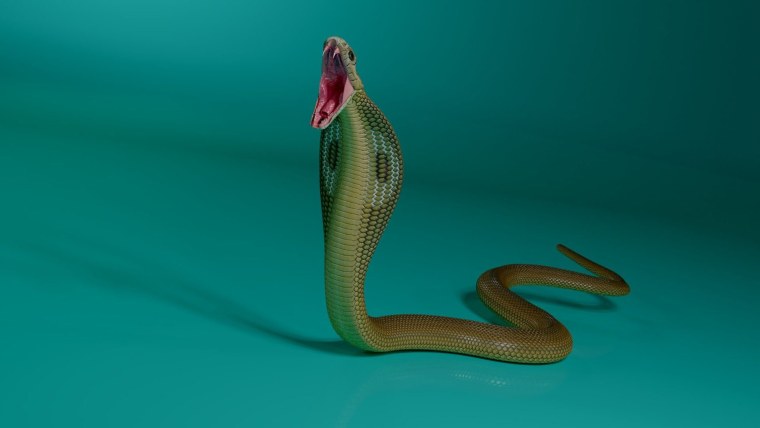 Смарагдовый полоз зеленый