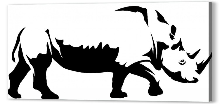 Классика польской фотографии носорог