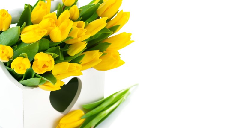 Рамочка с желтыми тюльпанами