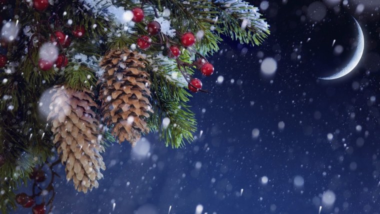 Нарядная елка в лесу