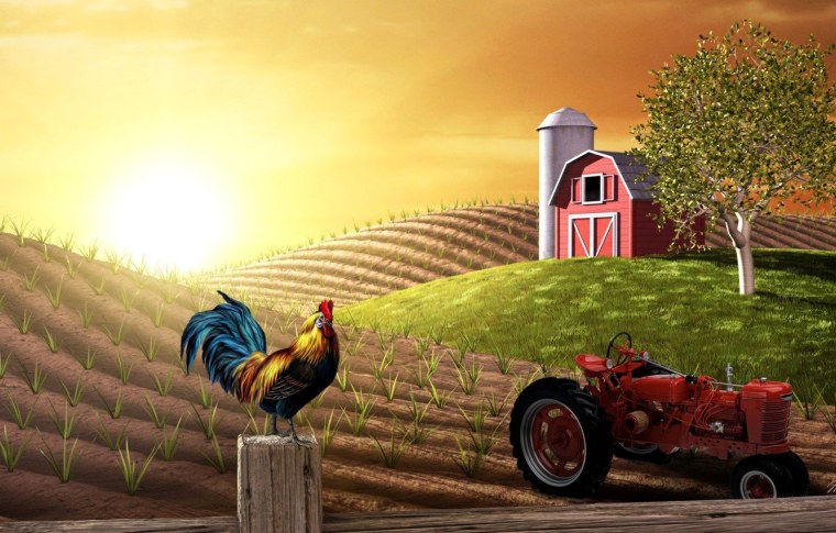 Трактор в поле