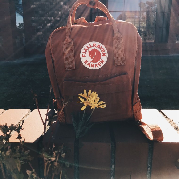 Эстетика рюкзак Fjallraven
