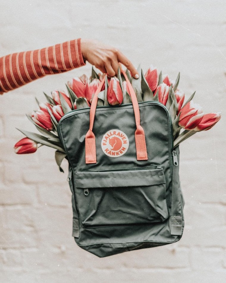 Канкен рюкзак Эстетика