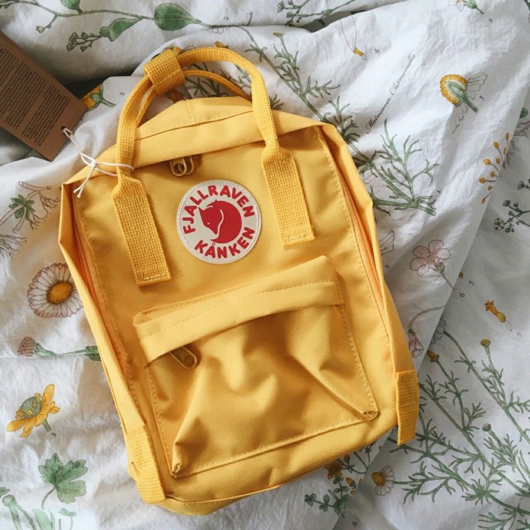 Рюкзаки Эстетика школьные Fjallraven Kanken