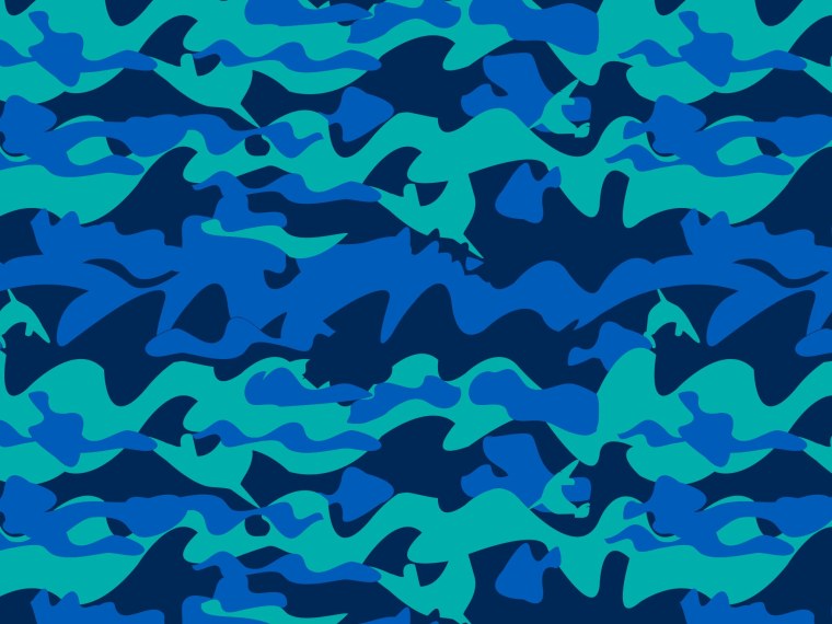 Голубой камуфляж