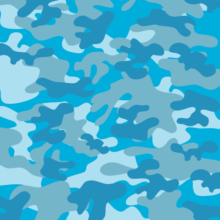 Бело голубой камуфляж