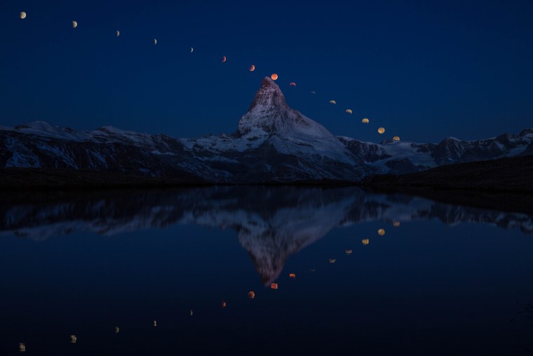 Зимний лес ночью