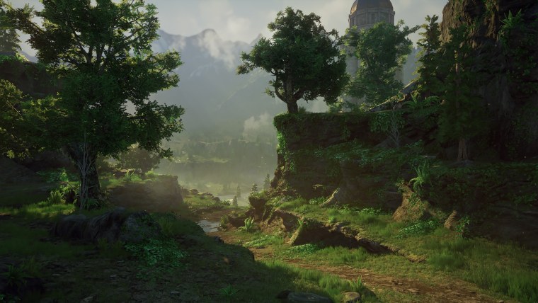 Локации леса