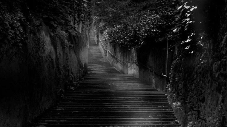 Лес с воронами