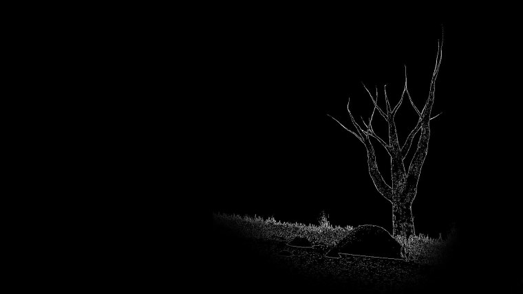 Черно белый фон