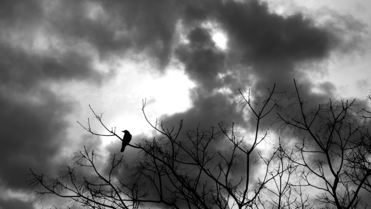 Ворон улетает