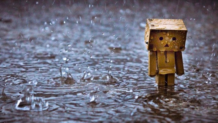 Побег из Шоушенка Свобода