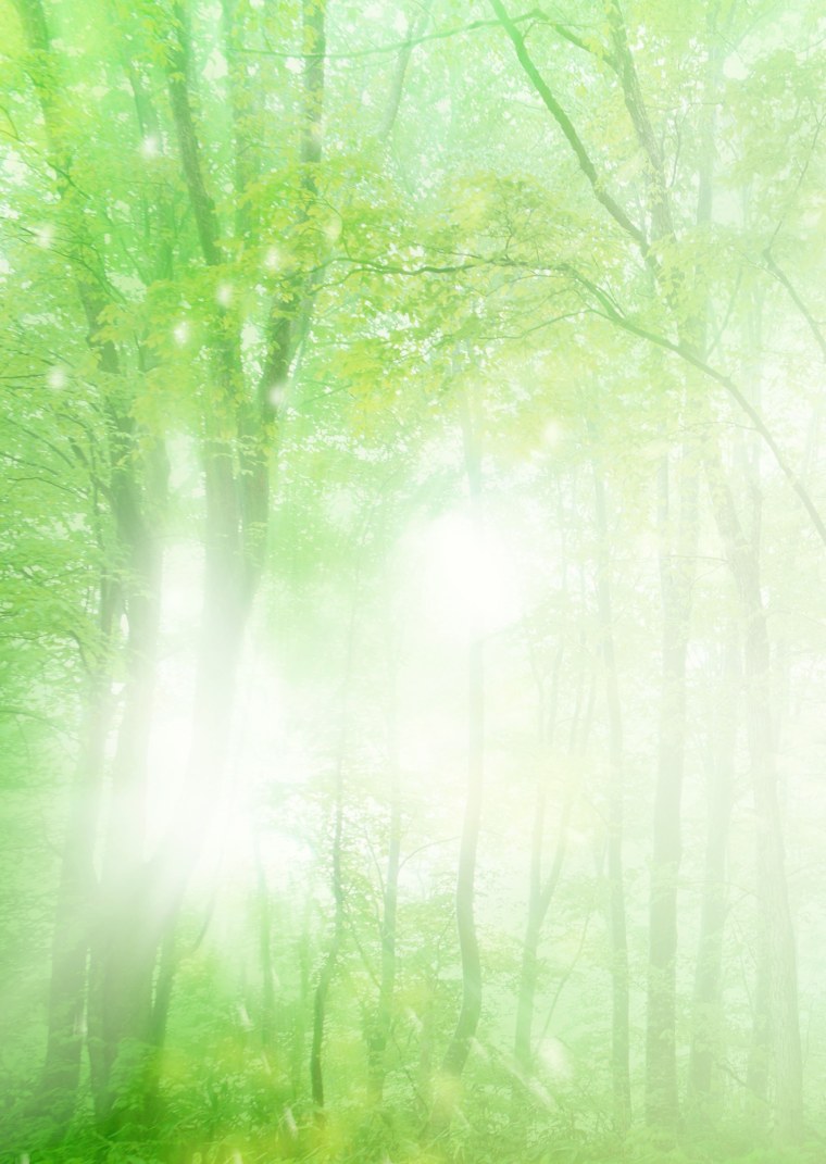 Фон для презентации природа