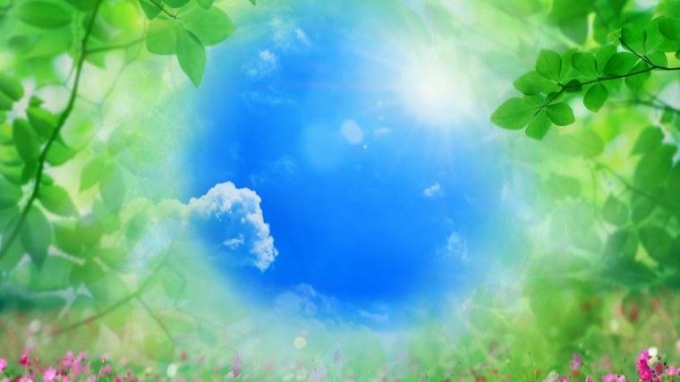 Природный фон для презентации