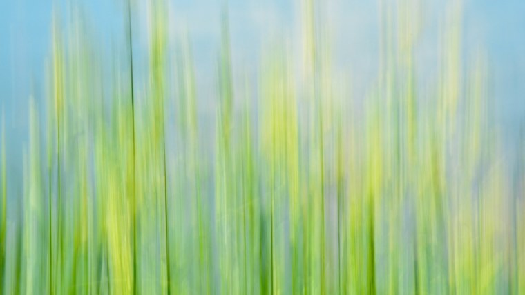 Цветочный фон