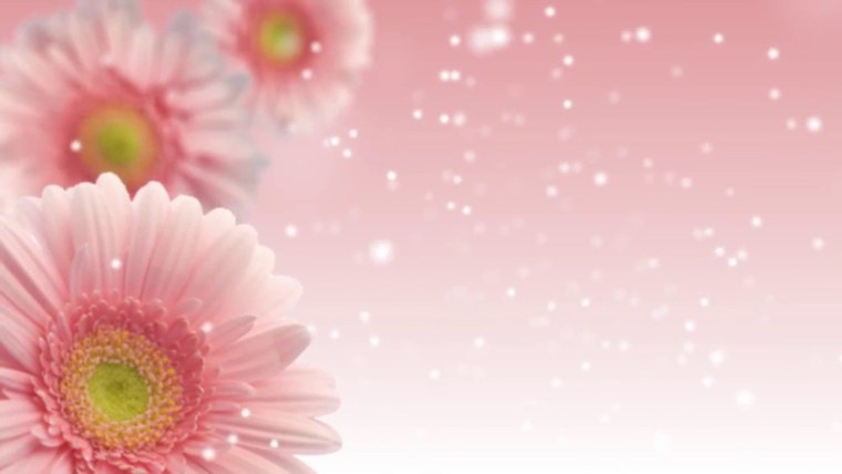 Цветочный фон