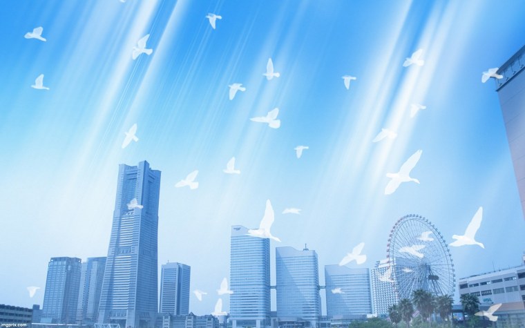 Чистая природа в городе